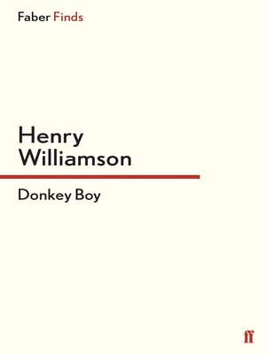 cover image of Donkey Boy
